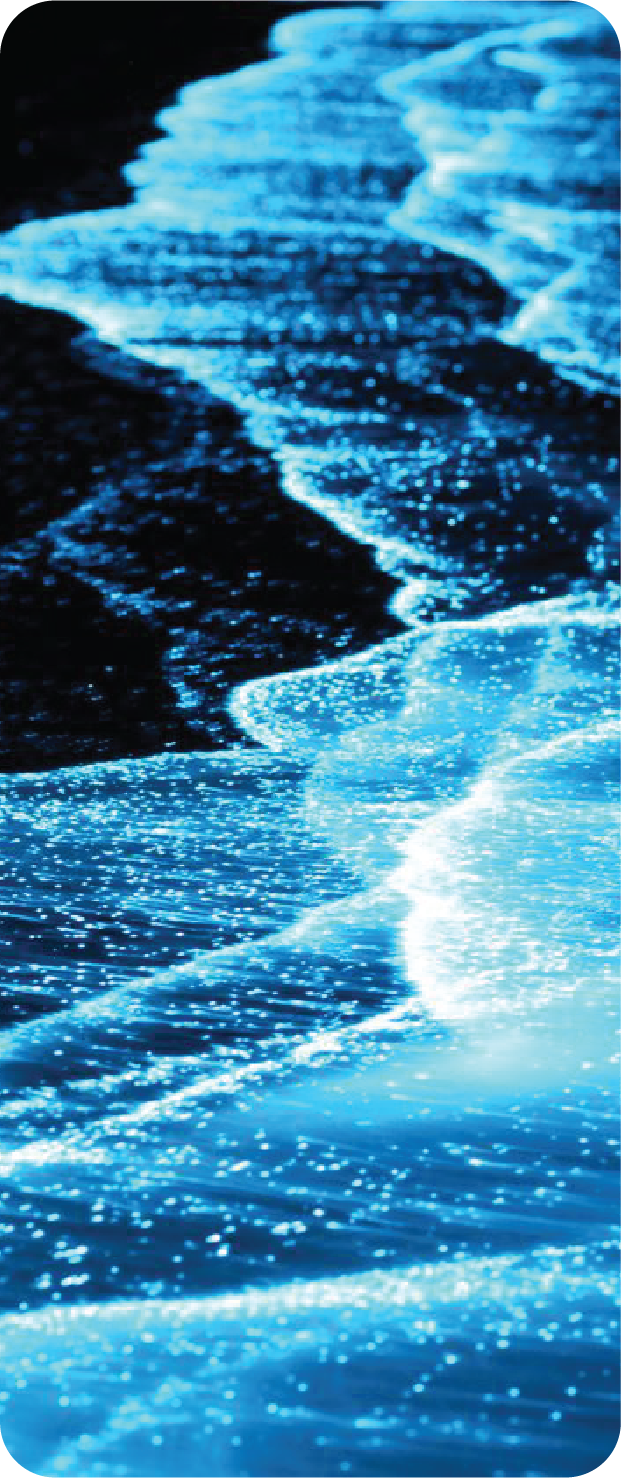 Bioluminiscencia en el agua